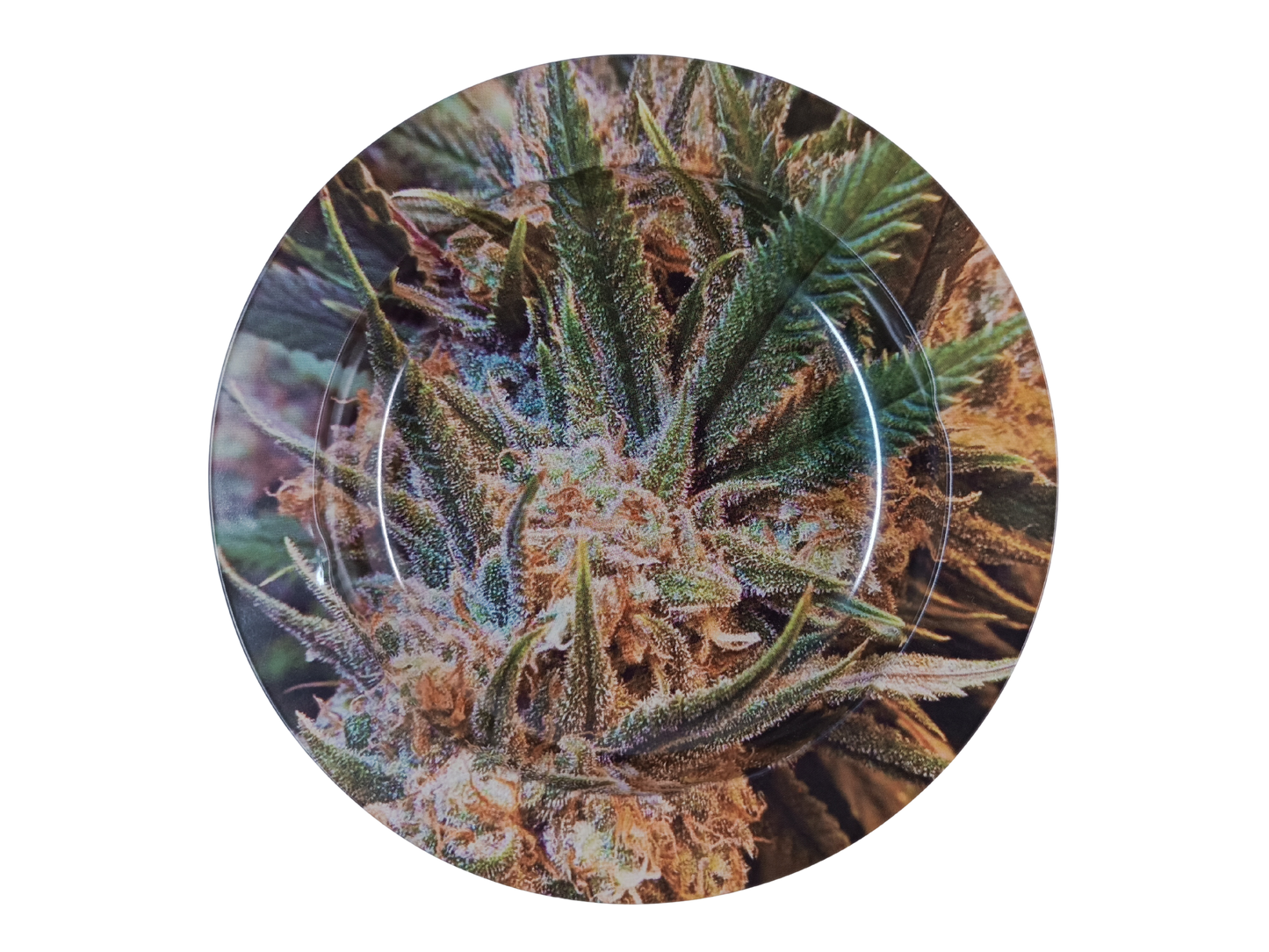 Cendrier Fumeur – Zoom sur Fleur de Cannabis en métal