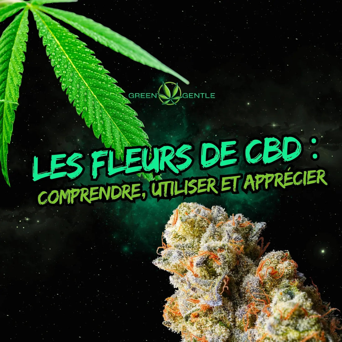 Les Fleurs de CBD : Comprendre, Utiliser et Apprécier