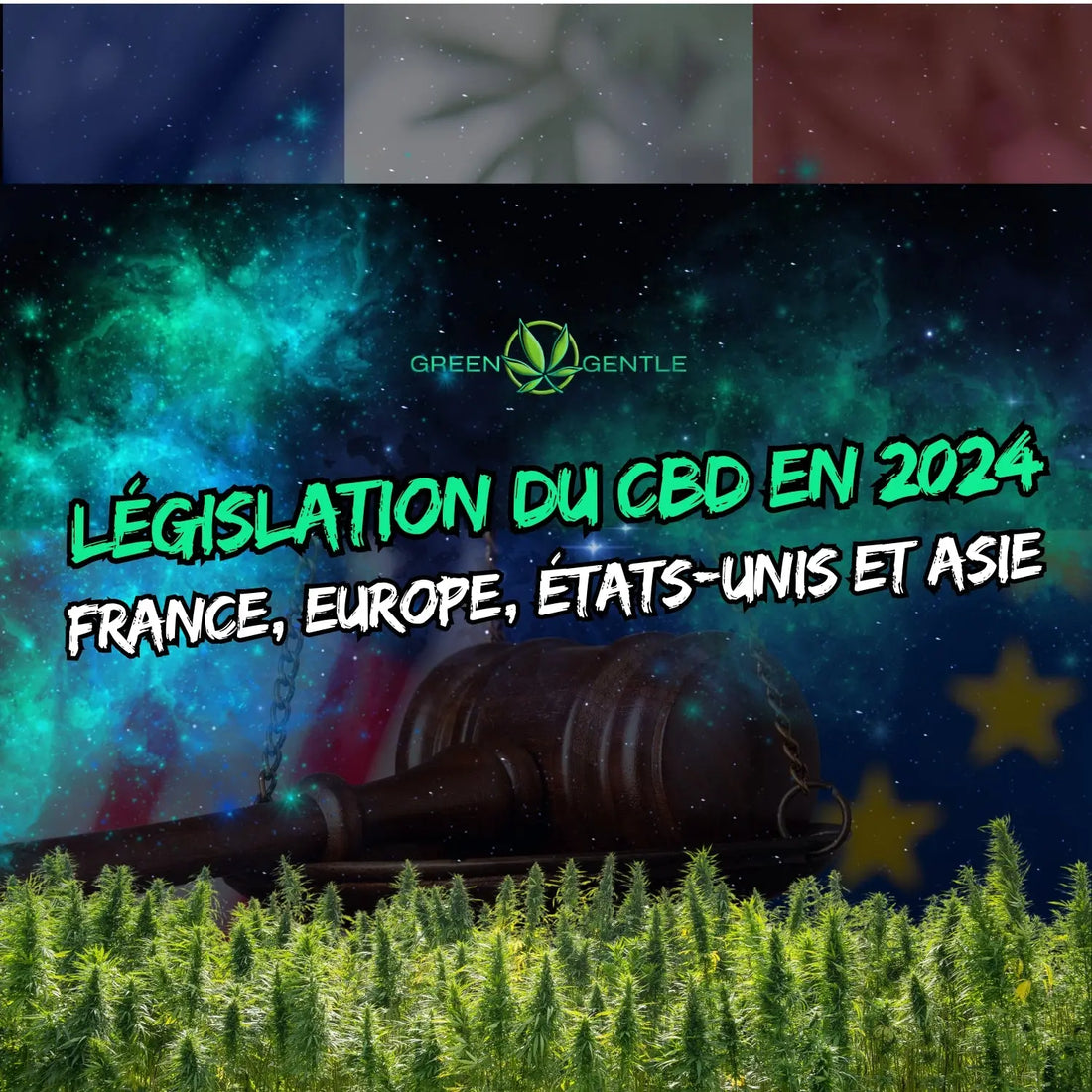 Législation du CBD en 2024 : France, Europe, États-Unis et Asie