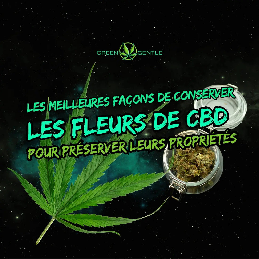 Les Meilleures Façons de Conserver les Fleurs de CBD pour Préserver leurs Propriétés