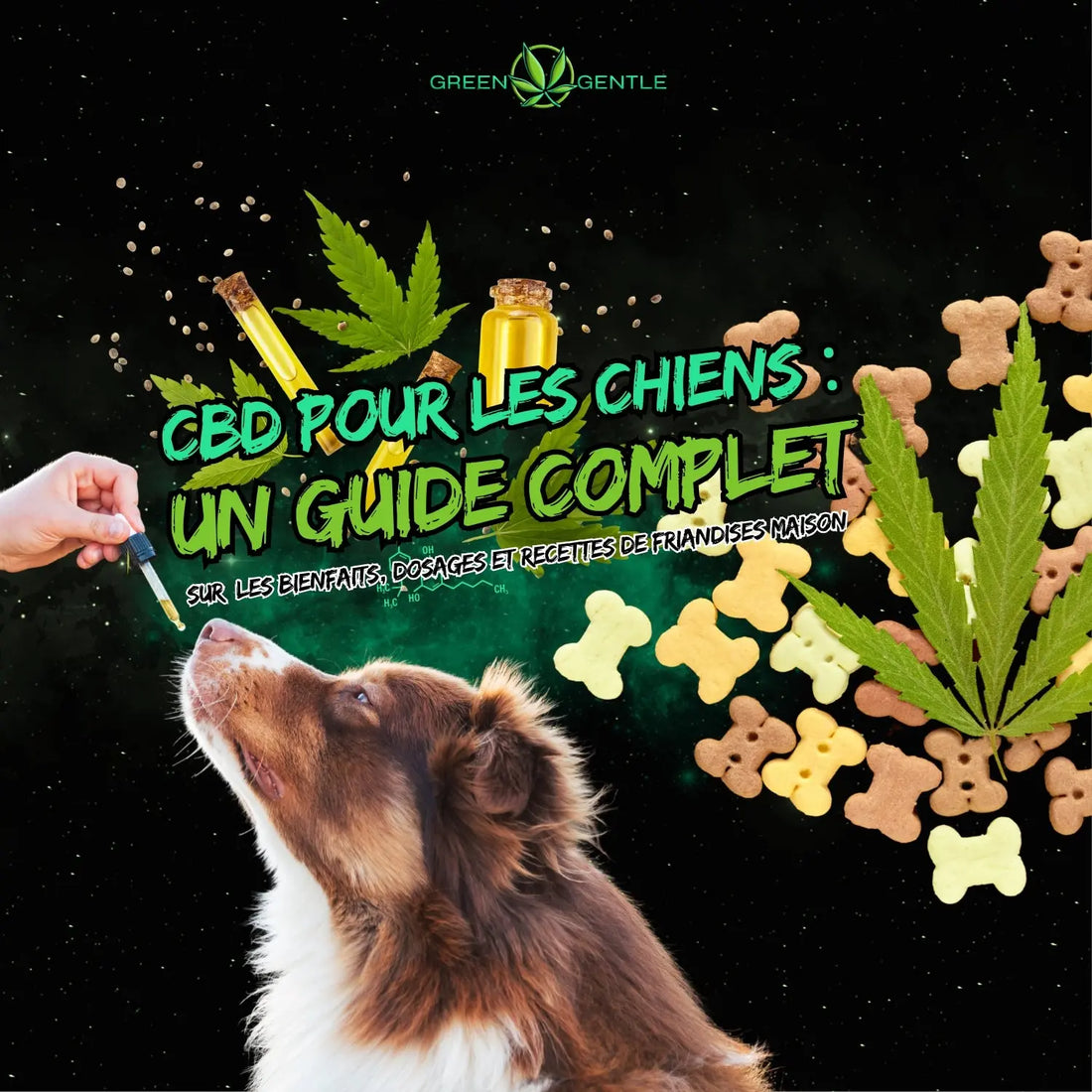 CBD pour les Chiens Guide Complet Green Gentle
