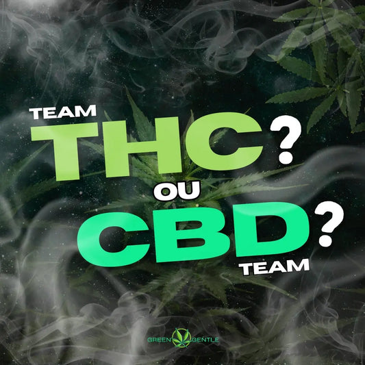 Les Différences entre le CBD et le THC : Un Guide Complet