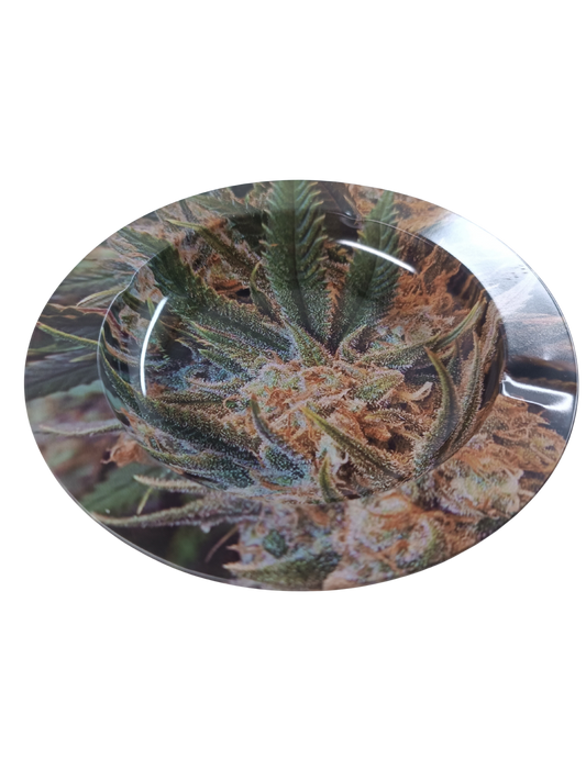 Cendrier Fumeur – Zoom sur Fleur de Cannabis en métal