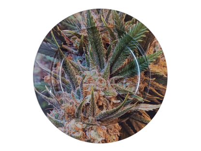 Cendrier Fumeur – Zoom sur Fleur de Cannabis en métal